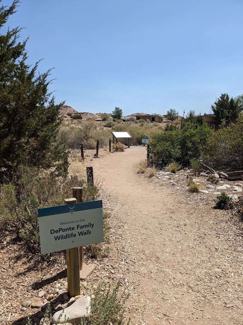 A Curving Wildlife Trail Brings Native Animals Into View