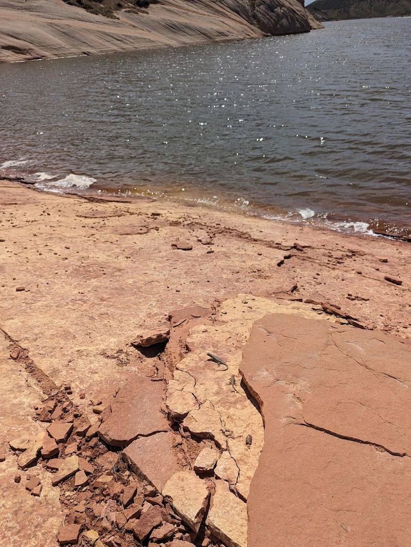 Follow Dinosaur Footprints At Red Fleet State Park