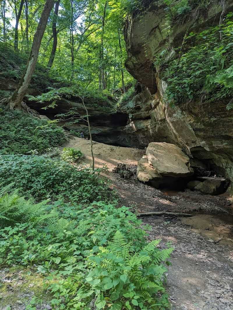 Wildlife, Wildflowers, And What Grows Along The Trail
