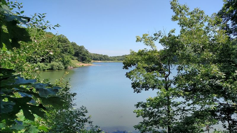 Fishing, Wildlife, and the Slower Side of the Park