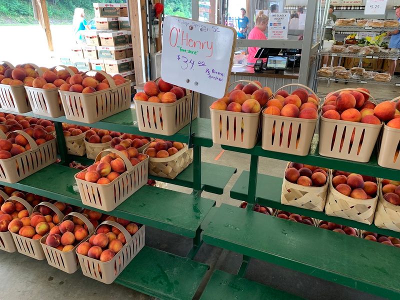 Fresh Fruit That Earns Real Compliments
