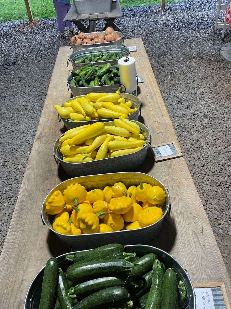 Beyond Corn, The Farm Store Keeps The Basket Getting Fuller