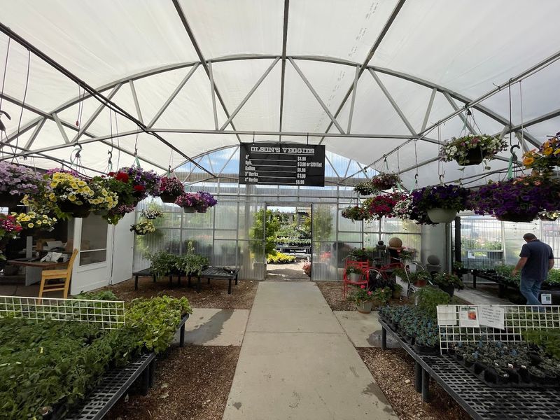 Staff Who Know Plants Like Locals Know Shortcuts