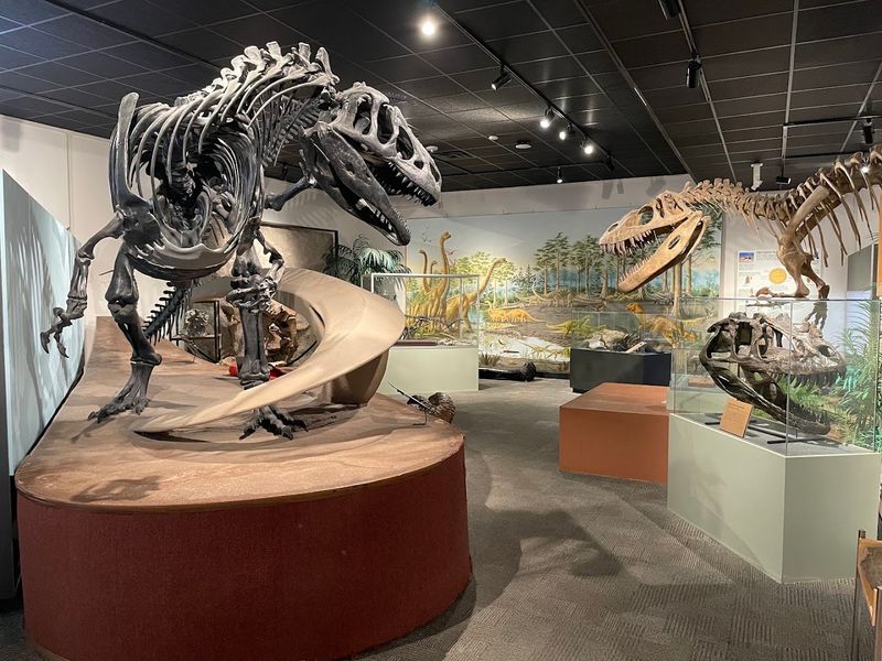 BYU Museum of Paleontology, Provo