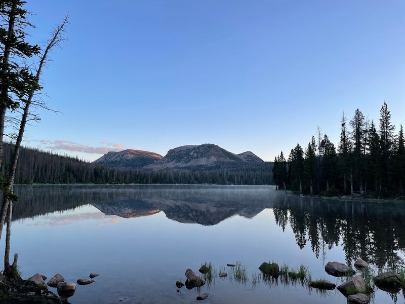 Wildlife Watching: Moose, Marmots, and Mountain Surprises