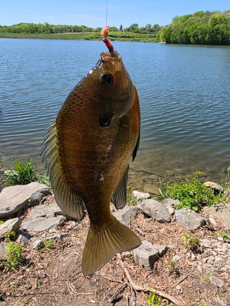 Fishing At Big Creek Lake