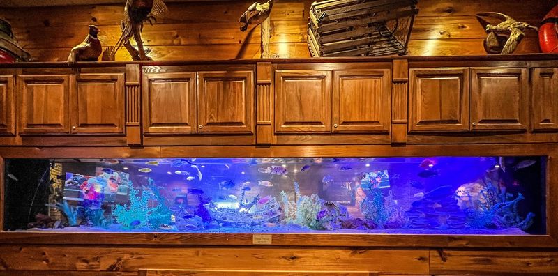 Mike Anderson’s Seafood