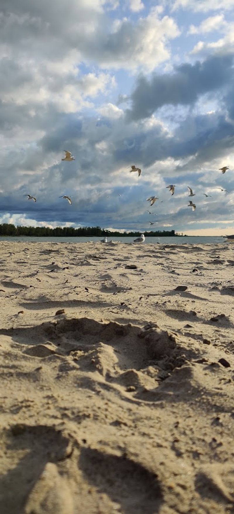 Kite Flying And Open-Air Activities
