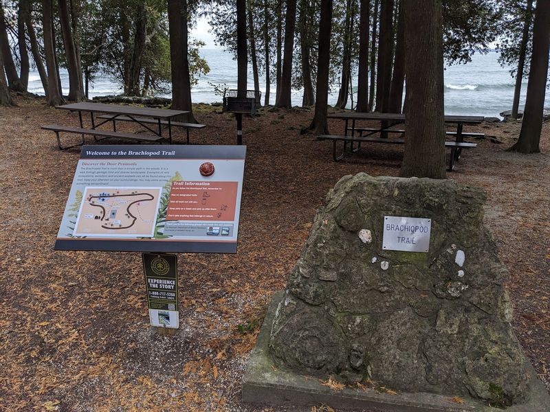 Search The Rock Without Taking It Home