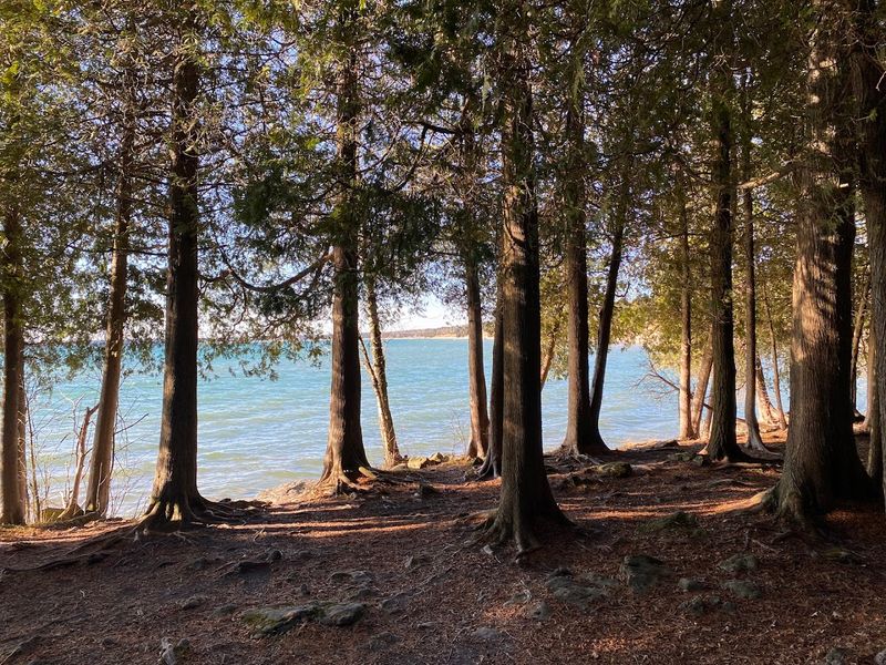 Follow The Path Through Whitefish Dunes