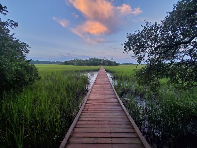 The State Park Lets The Coast Show Its Wild Side