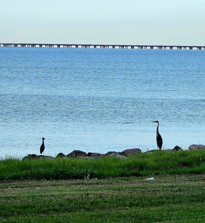 Historic Moments On The Shore