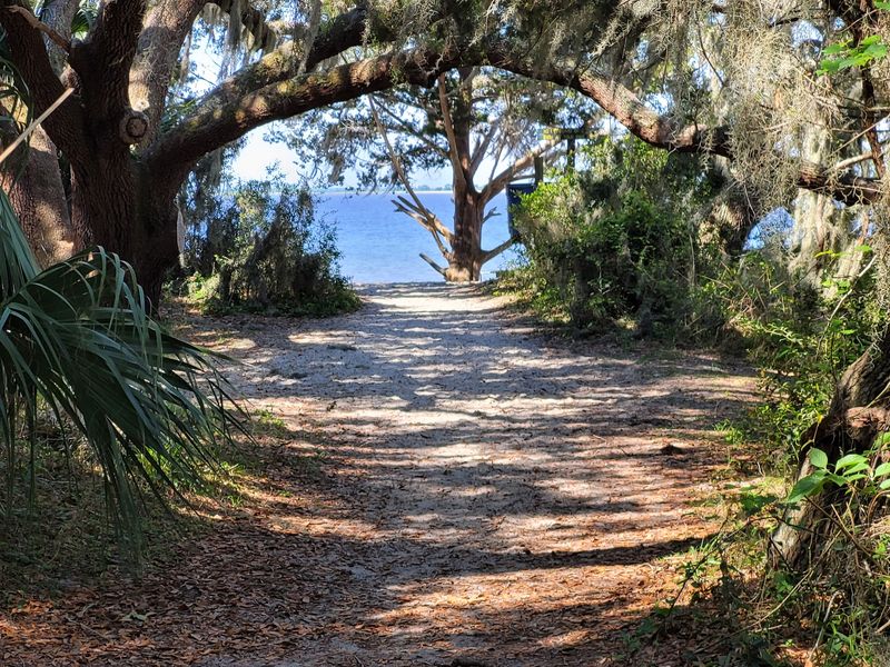Marsh Water And Open Sand Create A Softer Beach Day