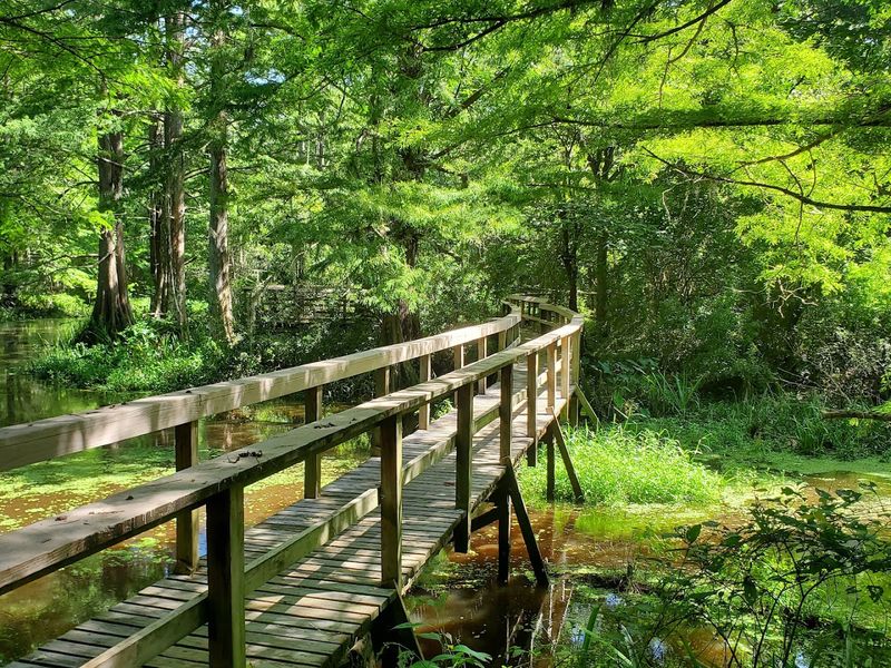Northlake Nature's Shifting Scenery