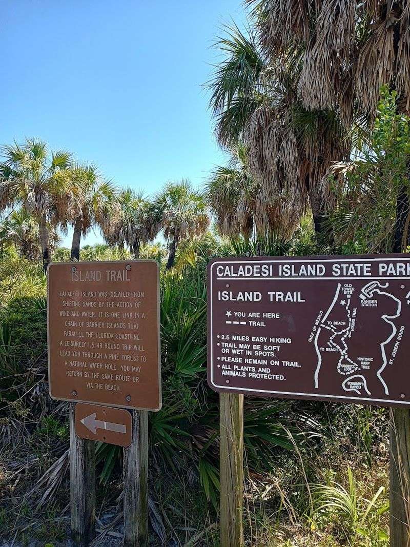 The Trail Keeps An Island Family In The Story