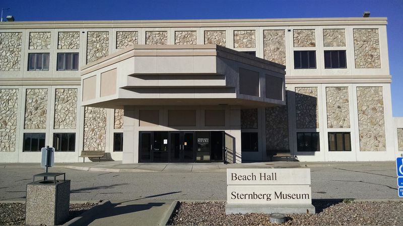 Practical Visiting Tips Worth Knowing Before You Go