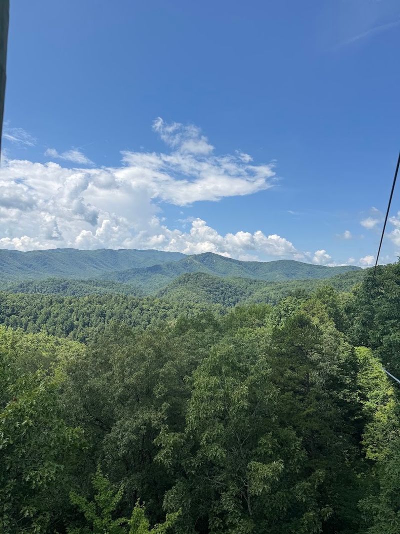 Sevierville And Its Neighbors Appear Beyond The Treetops