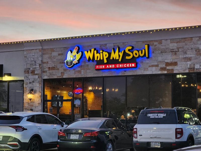 Whip My Soul