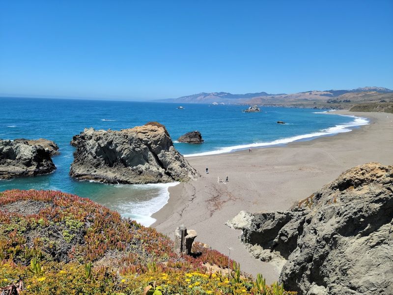 Sonoma Coast State Park