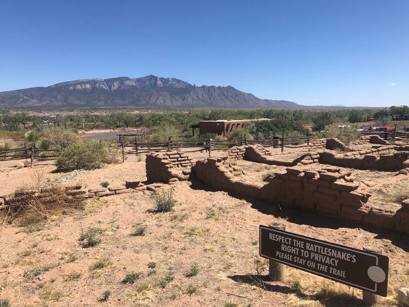 Cottonwood Trees Frame The Historic Grounds