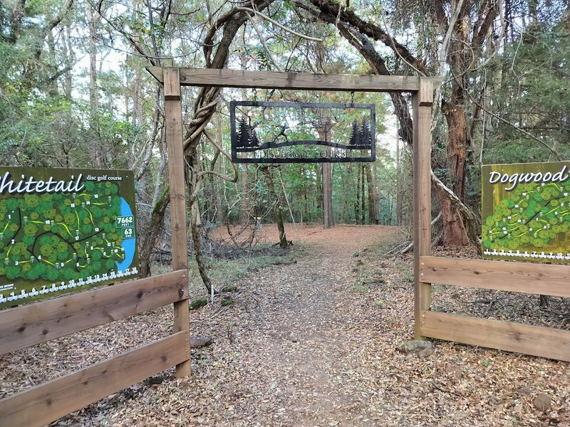Trails Through Timber