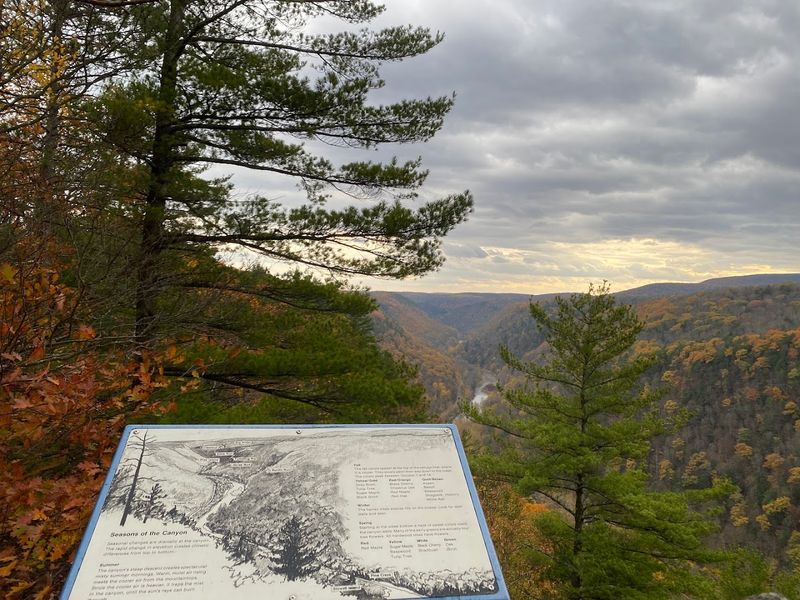 Pennsylvania's Grand Canyon Waits Beyond The Storefronts