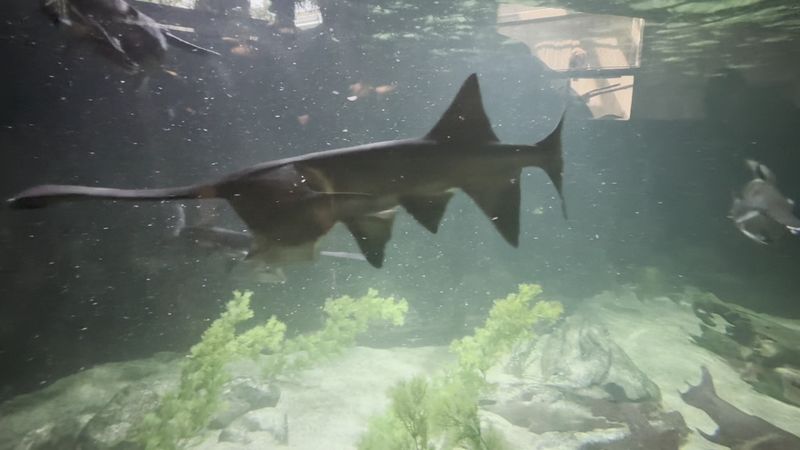 Learn The Conservation Angle