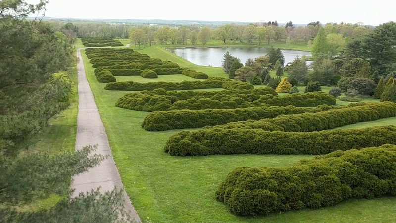 Wander Through A Giant Tree Collection