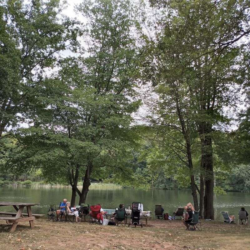 Picnic Spots And Shade That Actually Exist