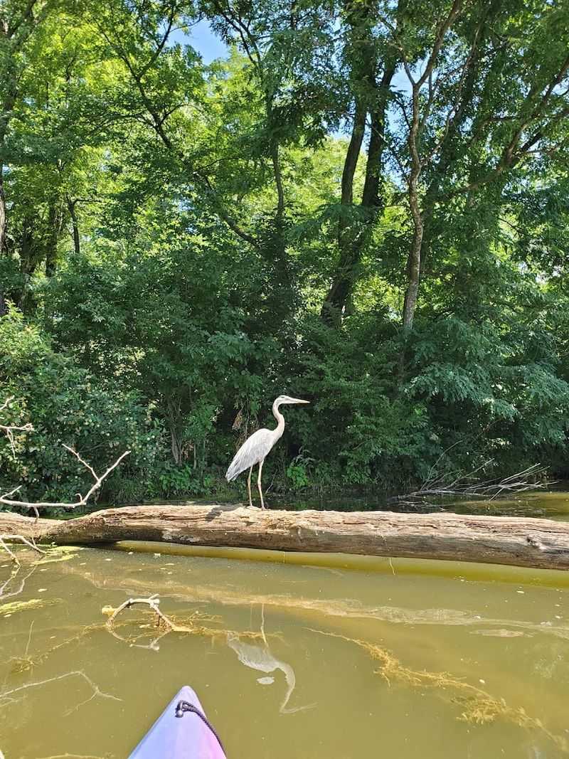 Wildlife and Nature You Will Notice Along the Way