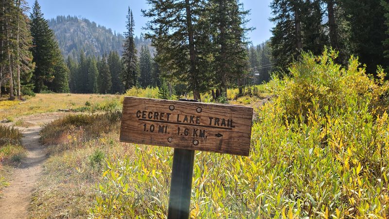 Who This Trail Works For and How to Make the Most of It