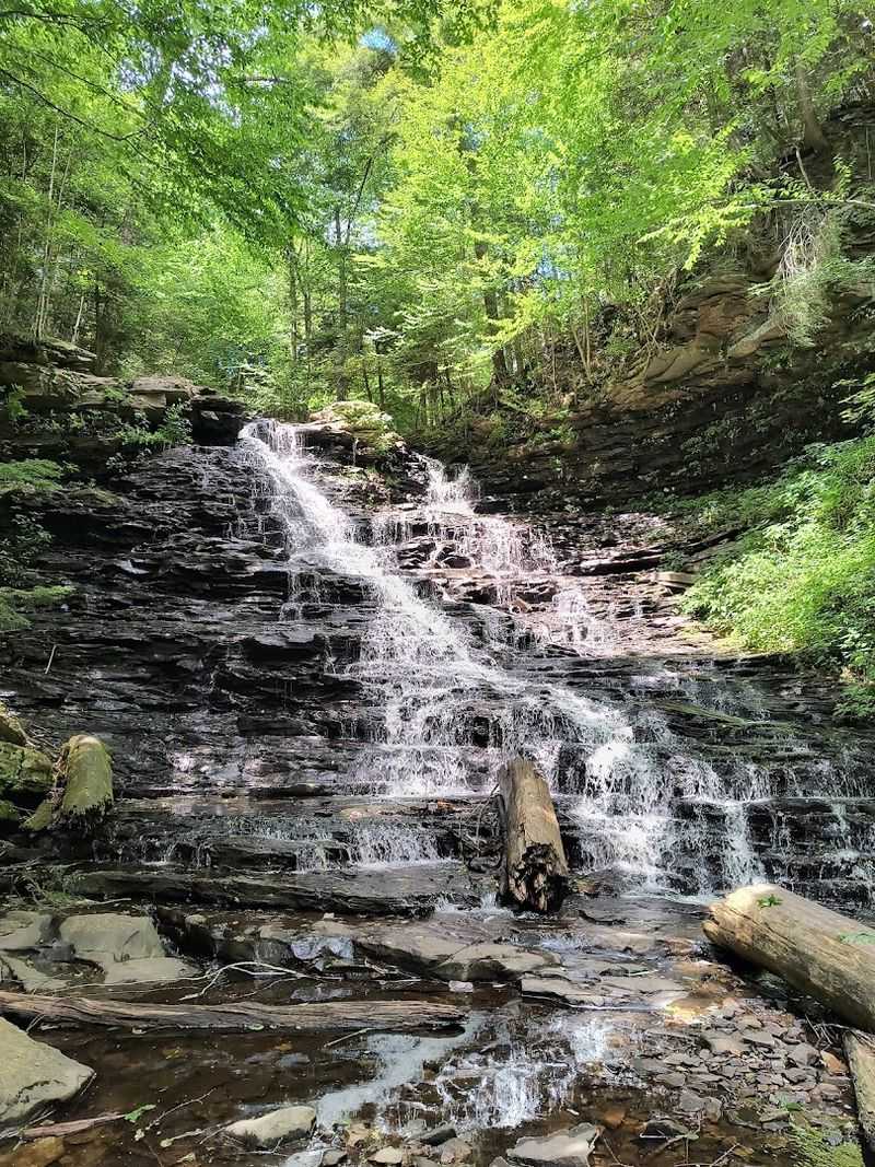 The Turkey Path Trail Tests Every Hiker's Resolve