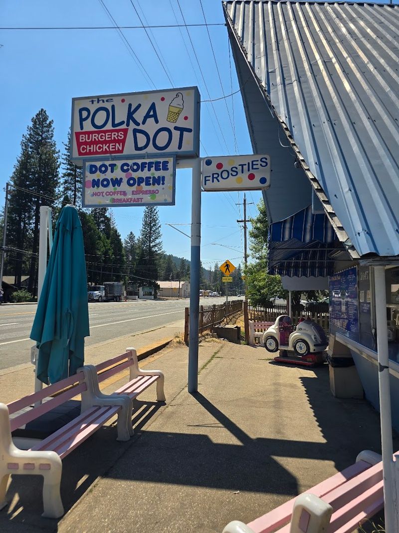 The Polka Dot