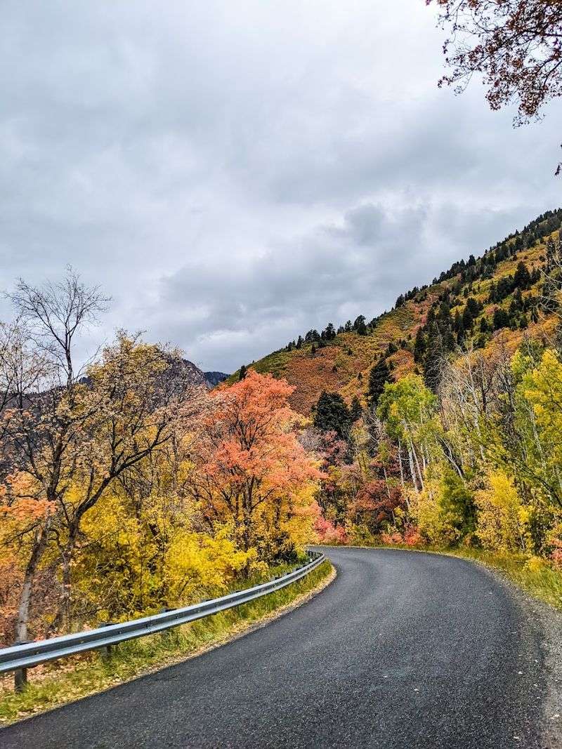 Your Road Trip Starts Here: Final Thoughts On The Alpine Loop