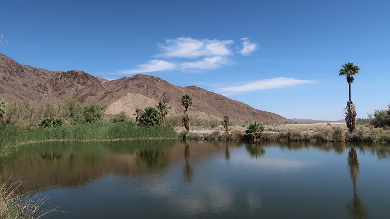The Desert Silence That Resets Your Mind
