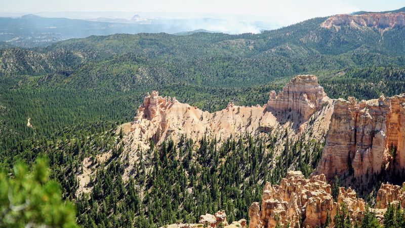 Rainbow Trout, High Altitude Lakes, And The Name That Started It All