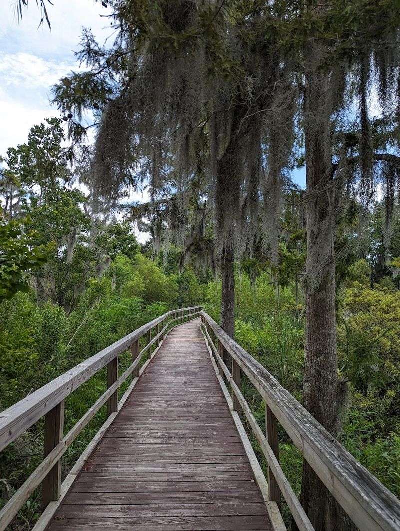 Wetland Trace Boardwalk