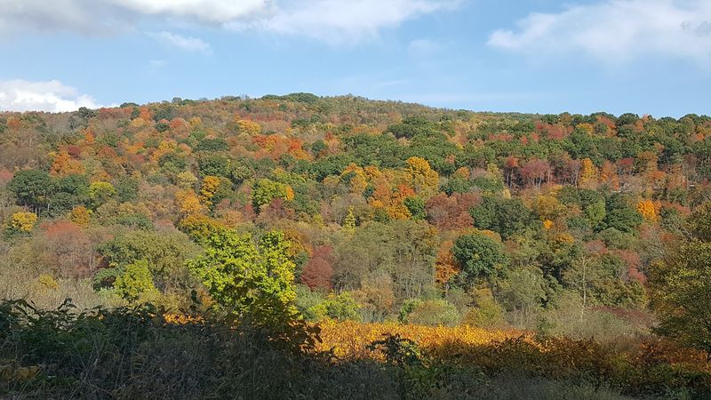 Why Fall Is A Favorite Season Here
