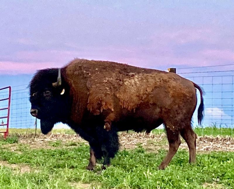 Why This Ranch Stands Out In The Midwest