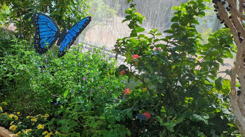 Why This Iowa Garden Keeps Drawing People Back