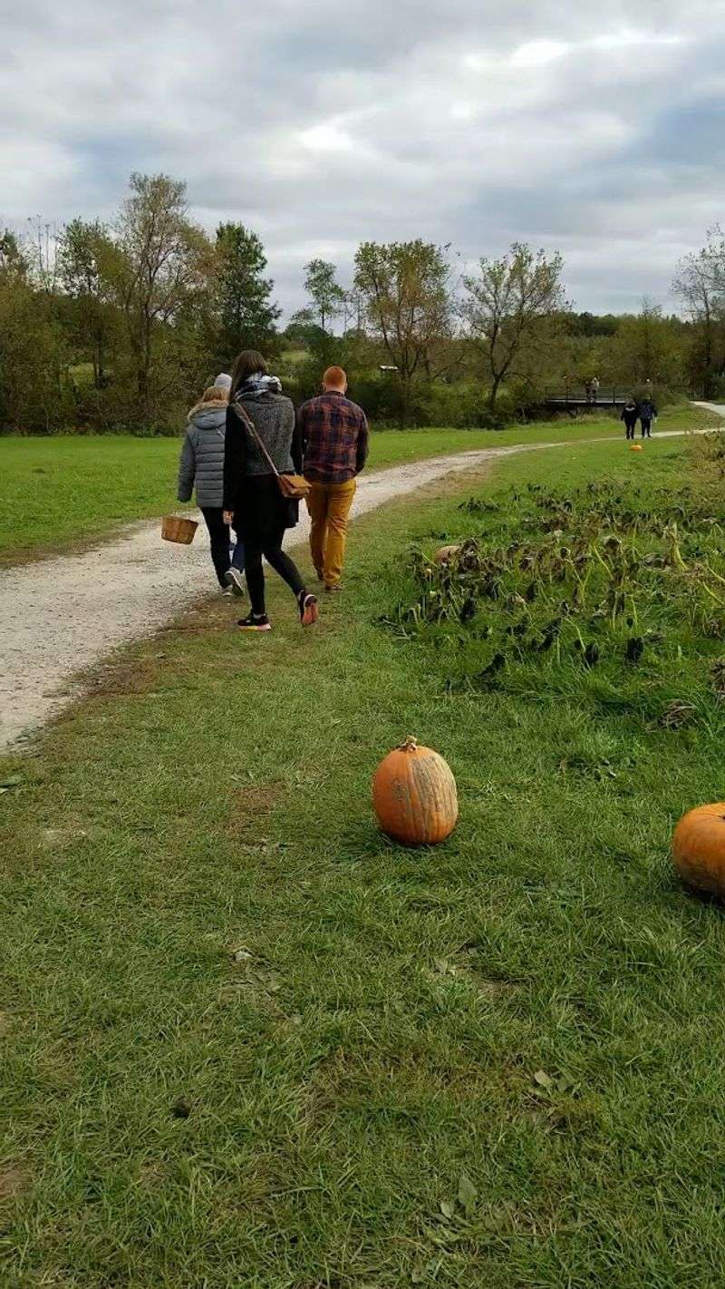Tips For Making The Most Of Your Visit