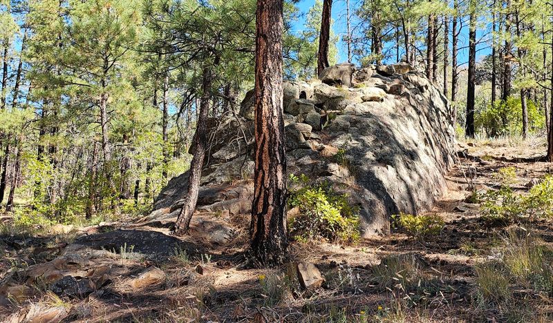 Ancient Ruins Rest Beyond The Rock Colony