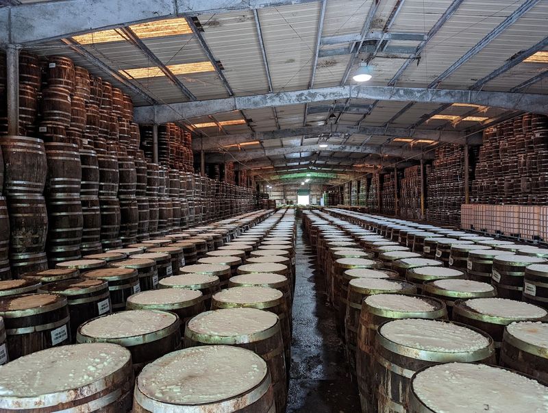 TABASCO Factory Tour