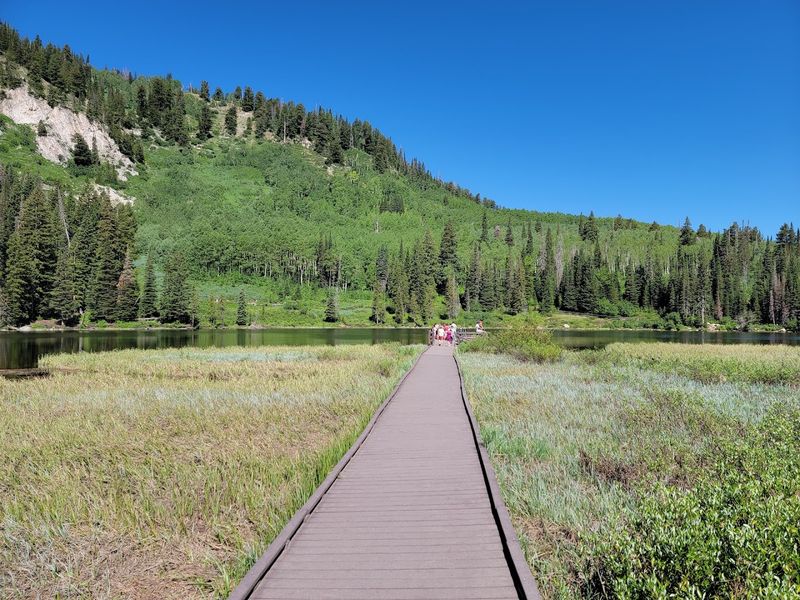 Silver Lake Boardwalk