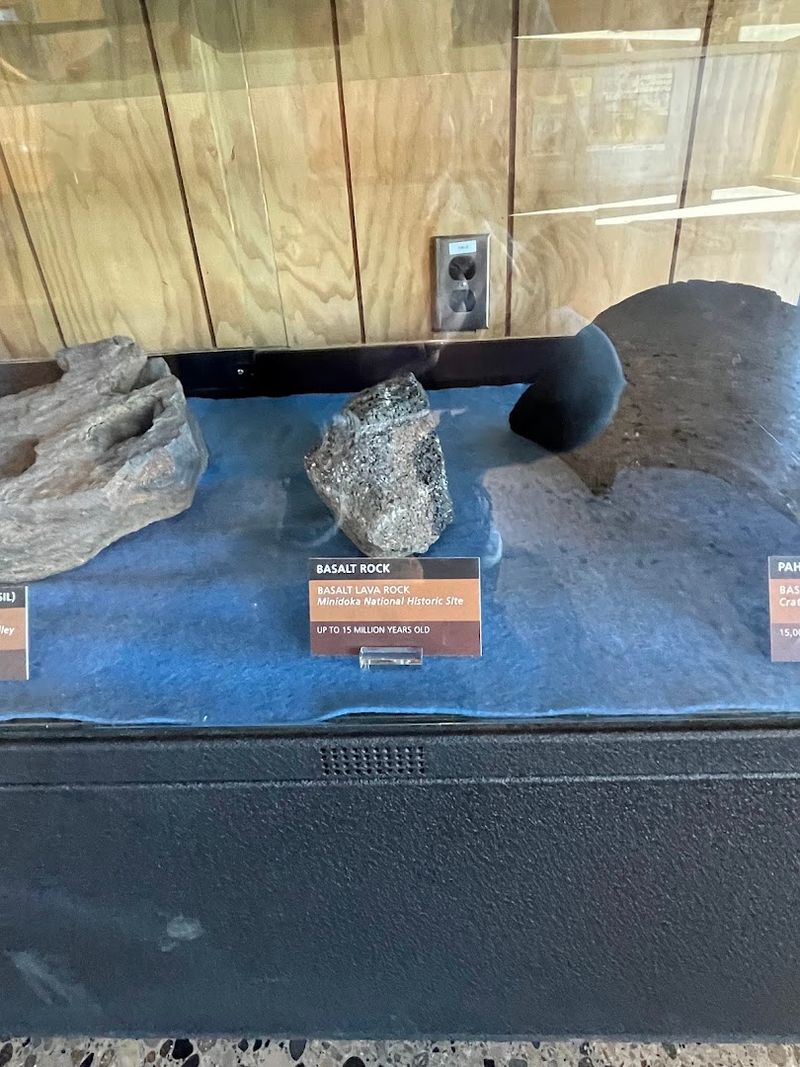 Why Fossil Collecting Is Strictly Prohibited