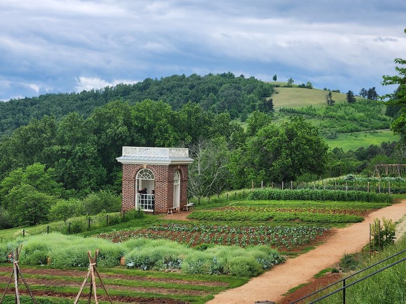 Monticello