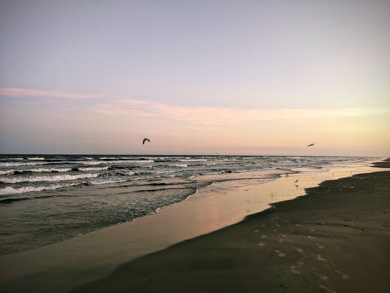 Birdwatching At A Globally Recognized Hotspot