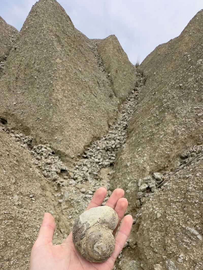 Keep The Prehistoric Treasures You Discover