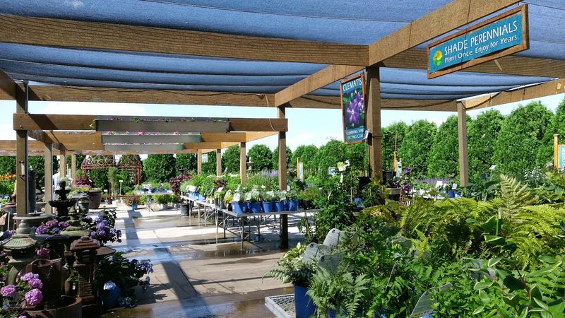 A Plant Warranty You Can Actually Trust