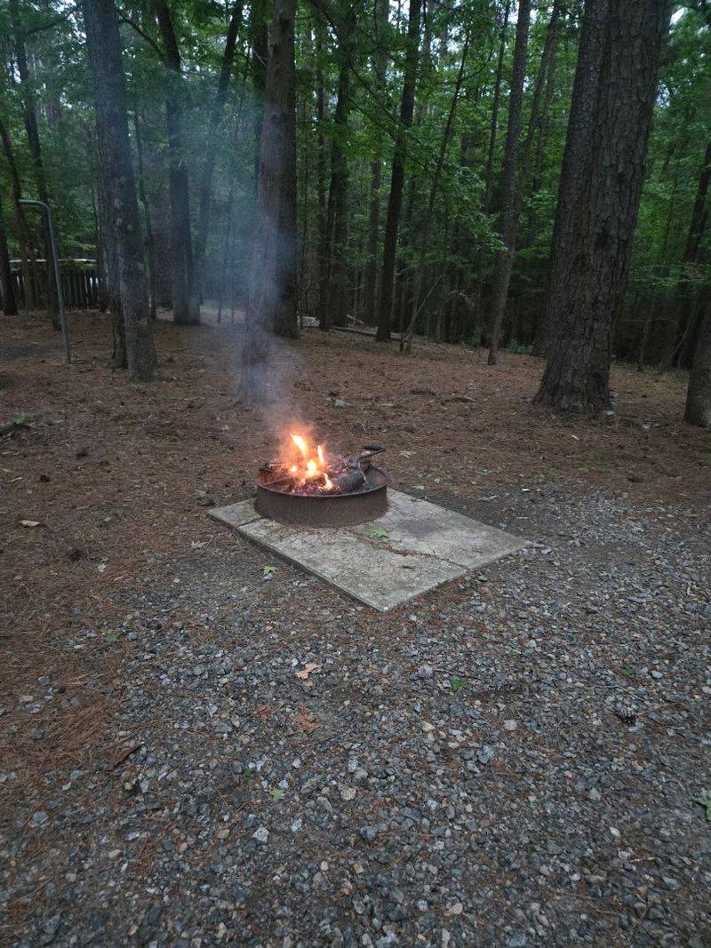 Preservation Practices
